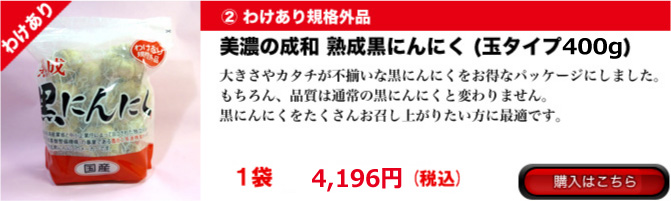 ��ǻ�����¡����ˤ�ˤ� �櫓���구�ʳ���